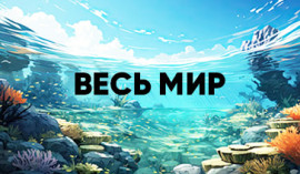 Пакет